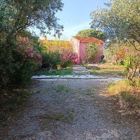Maison De Vacances, Proche De La Plage Fréjus エクステリア 写真